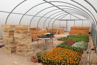 IMG_6243 Community Flowers