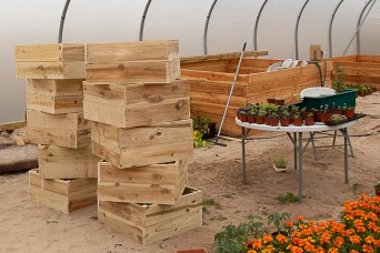 IMG_6244 Community Flowers